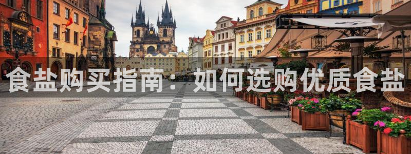 威九国际app下载