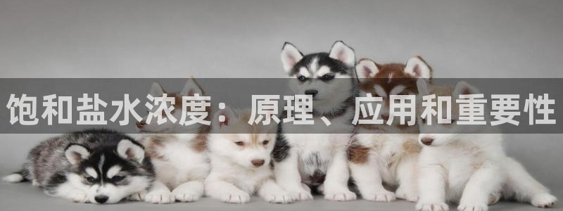 威九国际空降服务女演员名字