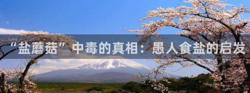 威九国际娜娜