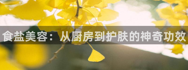 威九国际安全吗的认证团队