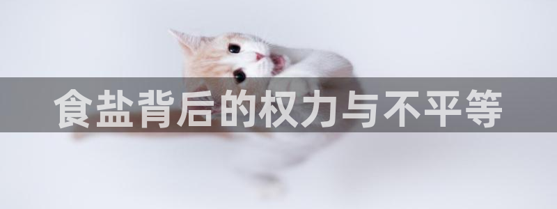 78mapp威九国际最新版