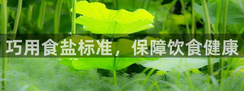 威九国际旗下艺人有谁