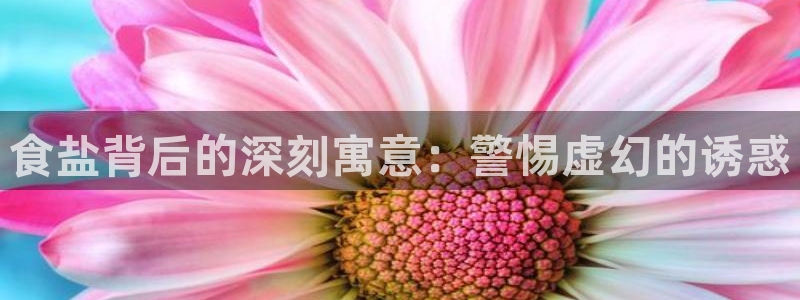 保定威九网络科技有限公司