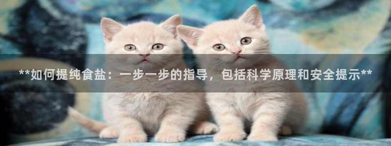 威九国际哪国的