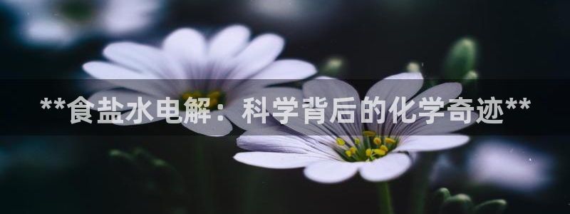 威九国际w98