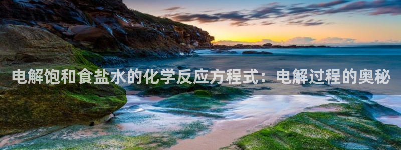 威九国际最受欢迎的功能