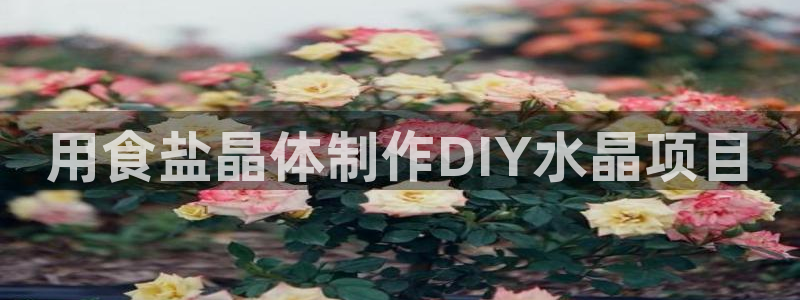 威九国际客服电话号码是多少