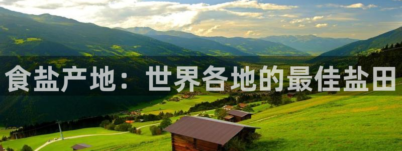 威九国际免费版