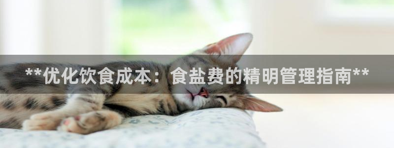 78mapp威九国际媒体央视