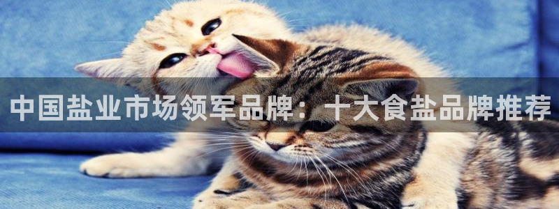 威九国际78mb42- MBA中文