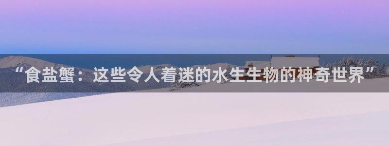 威九国际动漫