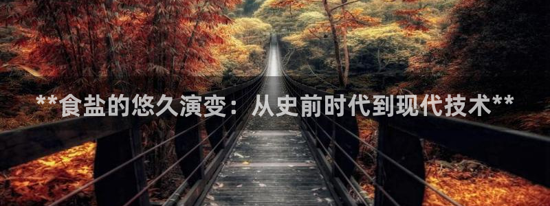 威九国际v8