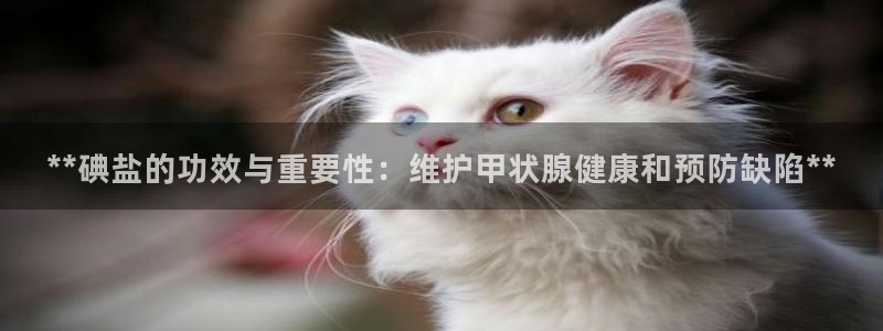 威九国际体育app下载