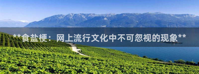 威九国际可以退钱吗怎么退