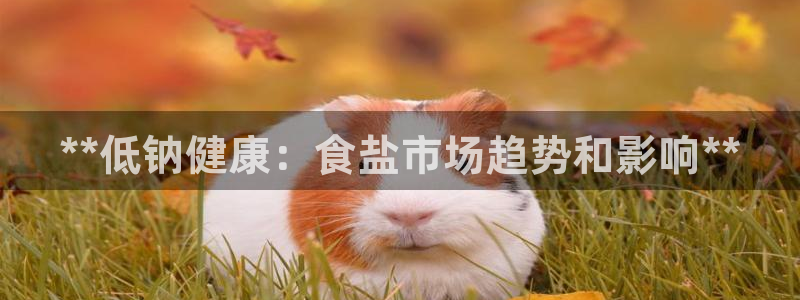 威九国际精