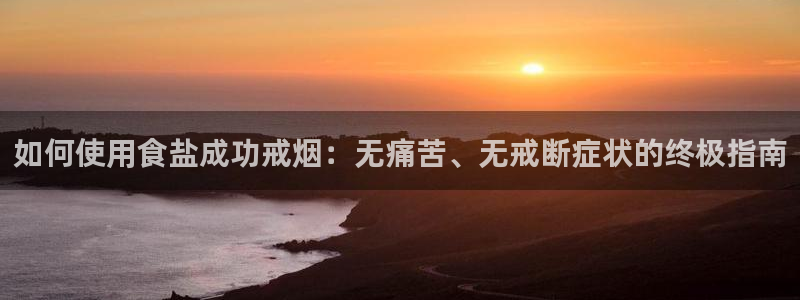威九国际ppt免费
