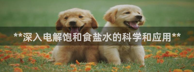 威九国际ft