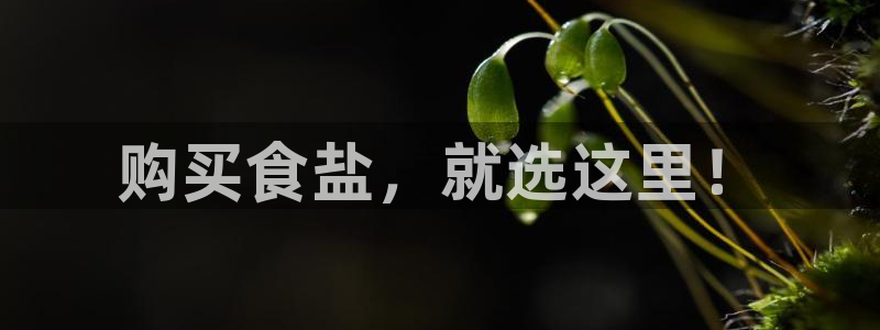威九国际官网版下载