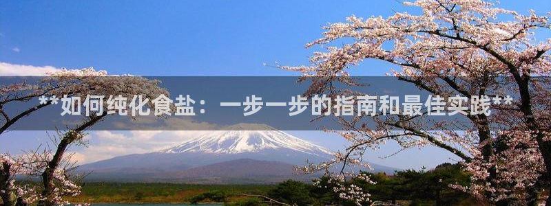 保定威九网络科技有限公司怎么样