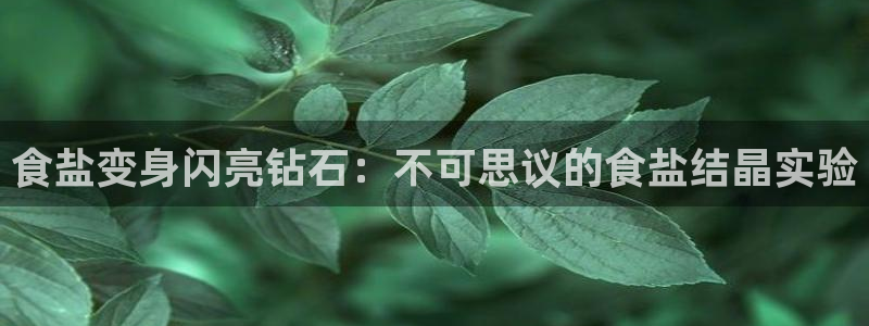威九国际官方入口