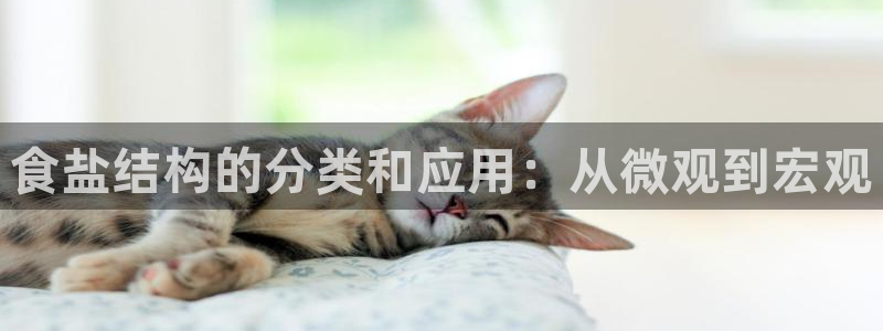威九国际8ⅹ8x
