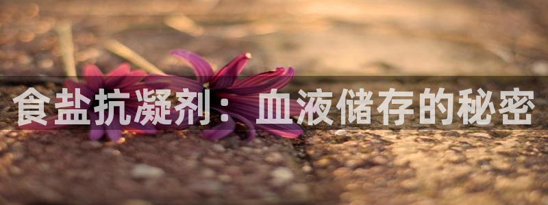 威九国际ft