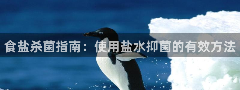 威九国际网站链接怎么打开