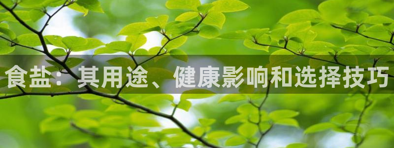 威九国际在哪里