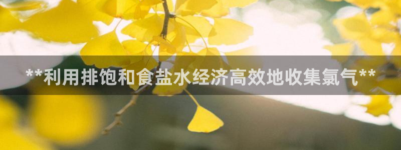 威九国际特殊奖励