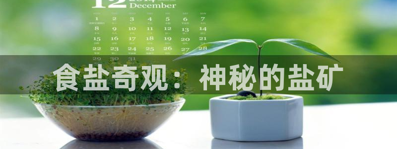 威九国际电视