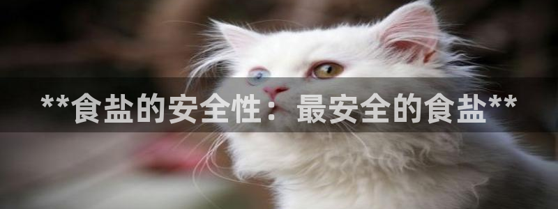 威九国际78m小说