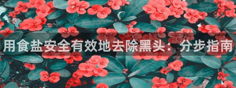 威九国际网站下载