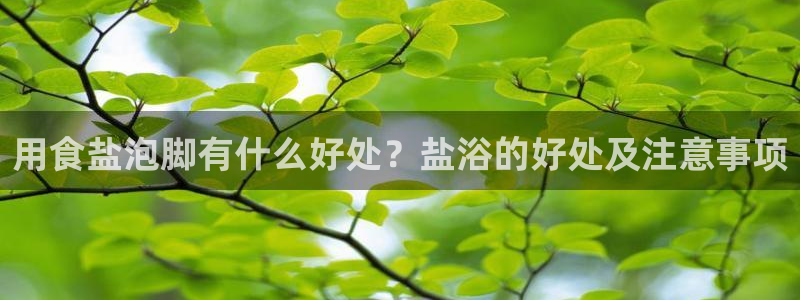 威九国际78mb下