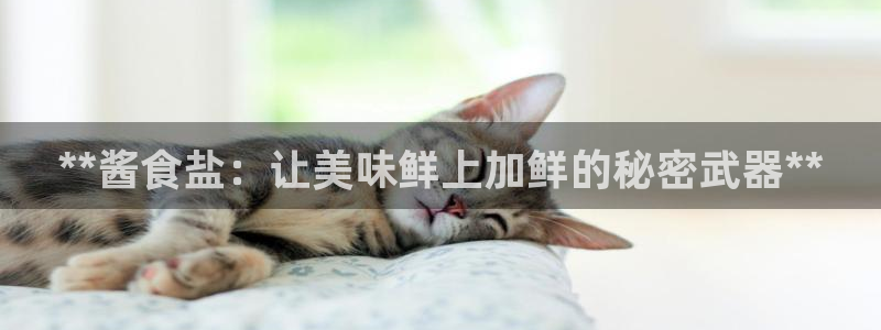 威九国际精选酒店地址