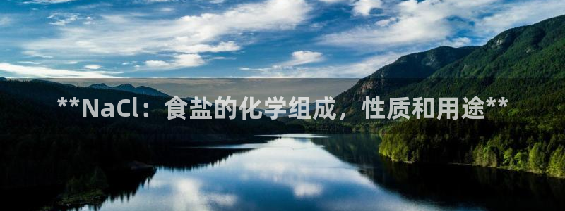 威九国际X8