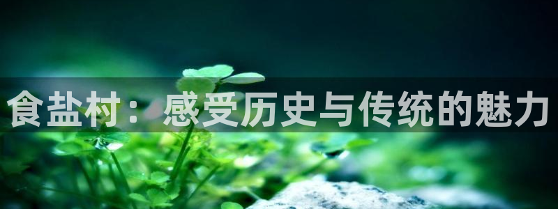 威九国际可以提现吗