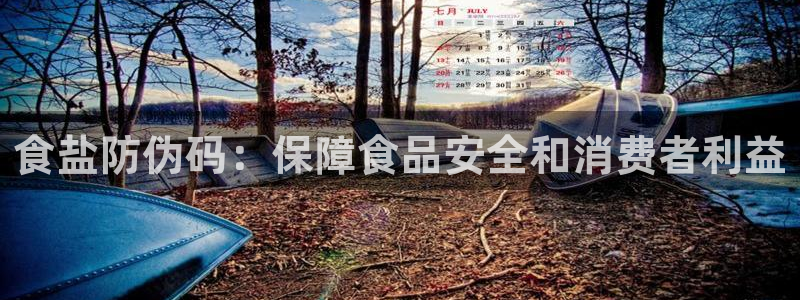 保定威九网络科技有限公司招聘