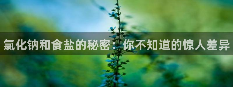 威九国际66cm