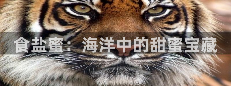 78mapp威九国际免费官方版下载