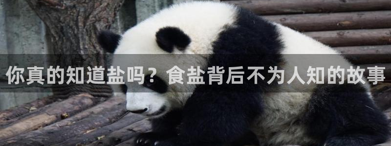 威九国际合作伙伴有哪些