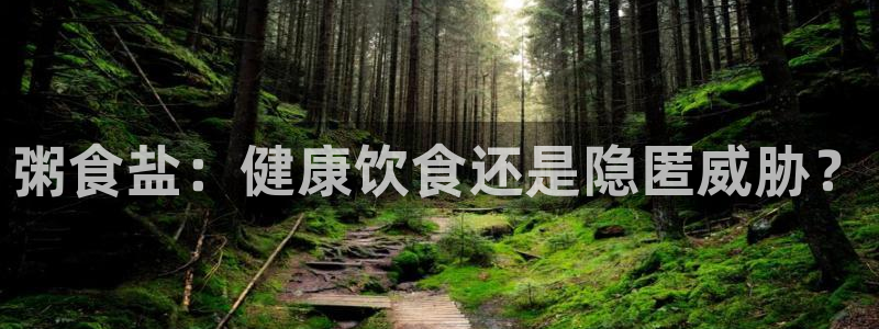 威九国际在哪里