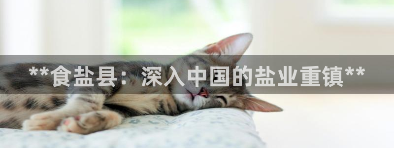 威九国际下载官网app