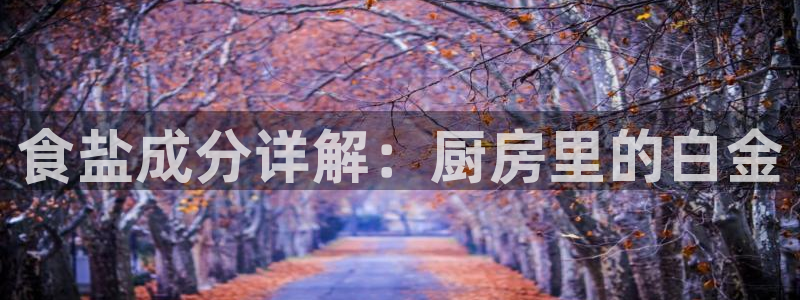 威九国际78mb特点