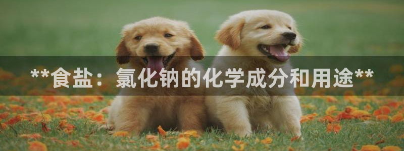 威九国际APP入口