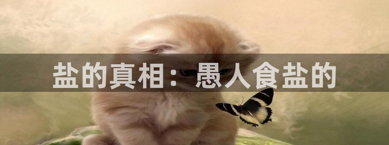 威九国际网站进入公司不断创新