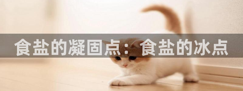 威九国际替好友去