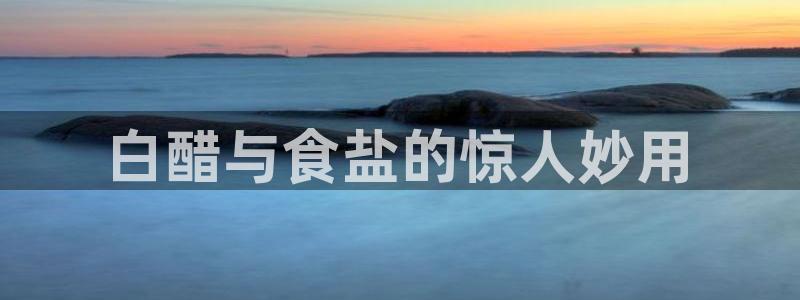 威九国际电子有限公司