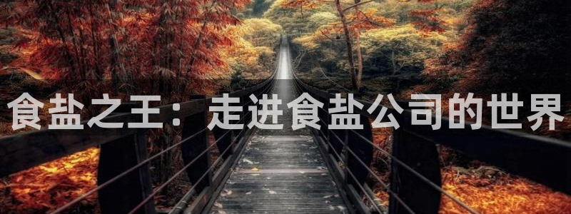 威九国际官网在线进入网站查询