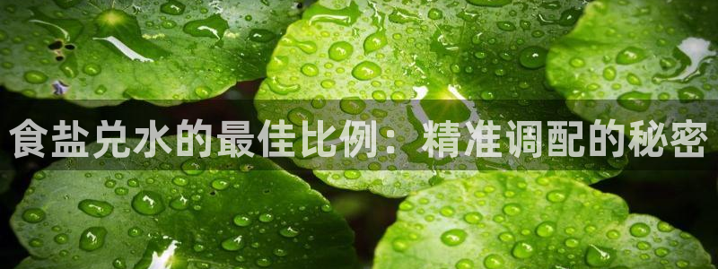 威九国际人民网招聘