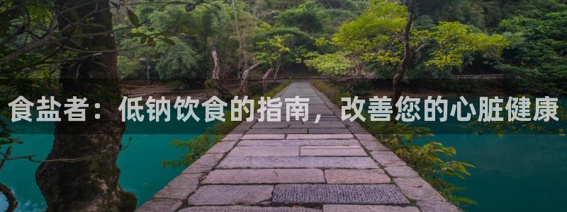 威九国际ppt免费